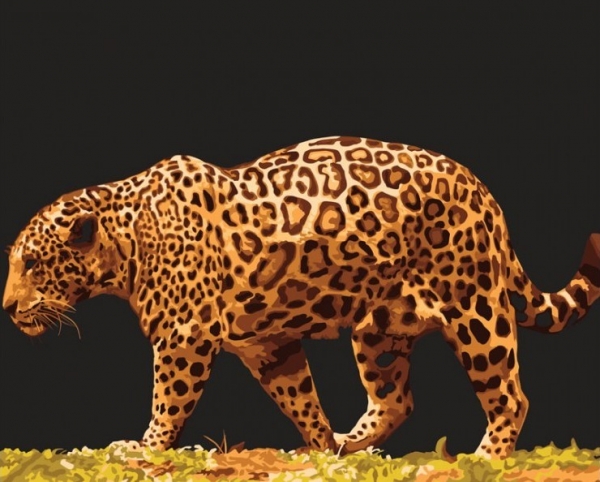 Набор для раскрашивания по номерам (Леопард) 40x50 см.